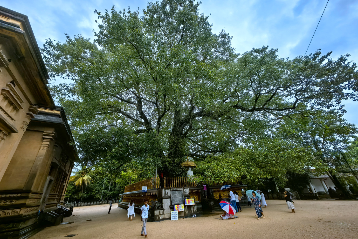 斯里蘭卡-卡拉尼亞寺 Kelaniya Raja Maha Vihara